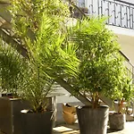 Gartenstrasse 3 Apartment