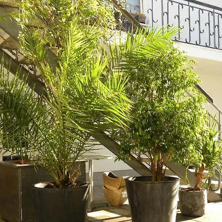 Gartenstrasse 3 Apartment